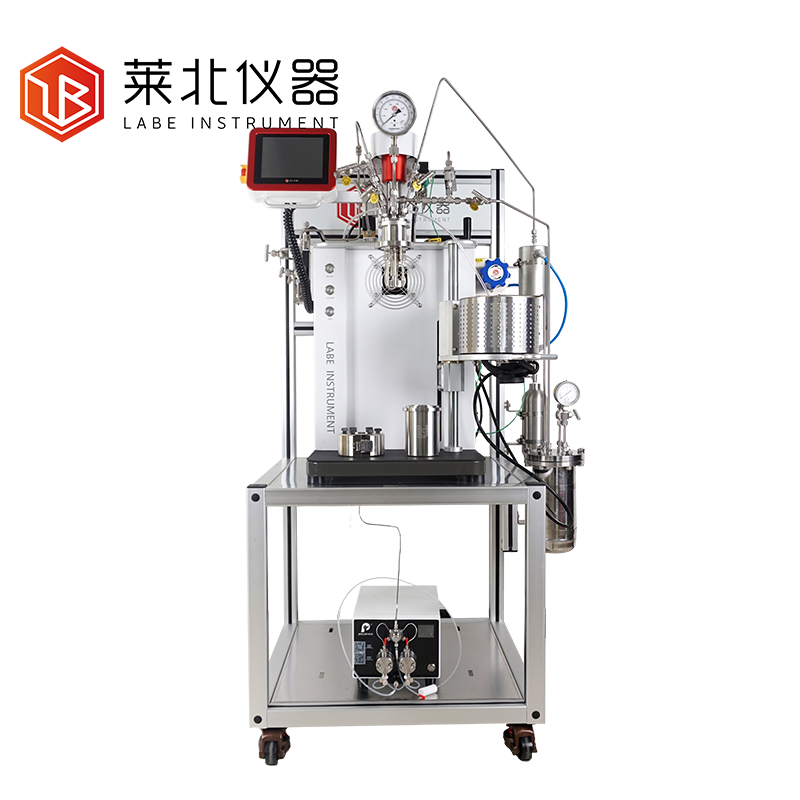 LB250加氫脫氫催化連續(xù)反應(yīng)器