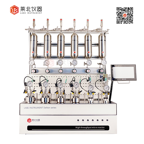 1665815819784942.jpg Dalton6-N 加氫平行反應器.jpg